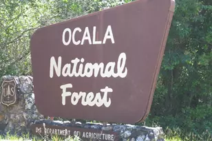 17051 SE 61st Pl, Ocklawaha, FL 32179 - Photo 99