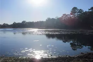 17051 SE 61st Pl, Ocklawaha, FL 32179 - Photo 69