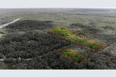 Tbd Off Riverview Road #9, Fanning Springs, FL 32693 - Photo 3