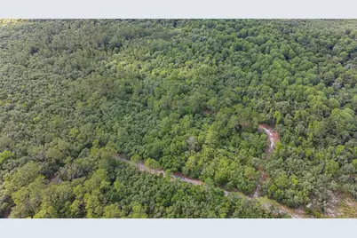 Tbd Off Riverview Road #9, Fanning Springs, FL 32693 - Photo 17