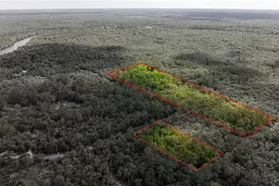 Tbd Off Riverview Rd, Fanning Springs, FL 32693 - Photo 1