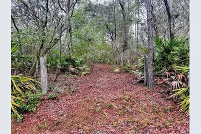 Tbd Off Riverview Road #9, Fanning Springs, FL 32693 - Photo 21