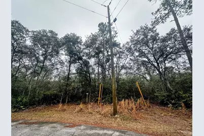 Tbd Off Riverview Road, Fanning Springs, FL 32693 - Photo 9