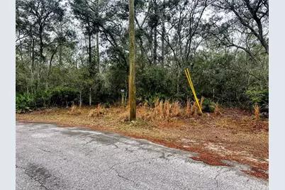 Tbd Off Riverview Road #9, Fanning Springs, FL 32693 - Photo 13