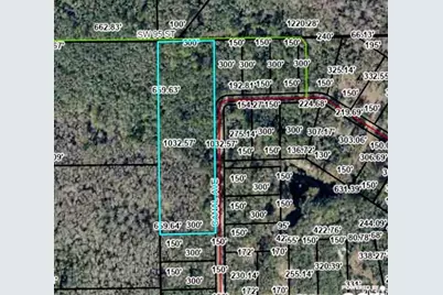 Tbd Off Riverview Road, Fanning Springs, FL 32693 - Photo 3