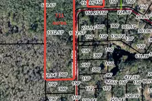 Tbd Off Riverview Rd, Fanning Springs, FL 32693 - Photo 1