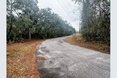 Tbd Off Riverview Road, Fanning Springs, FL 32693 - Photo 13