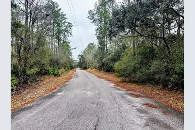 Tbd Off Riverview Road, Fanning Springs, FL 32693 - Photo 15
