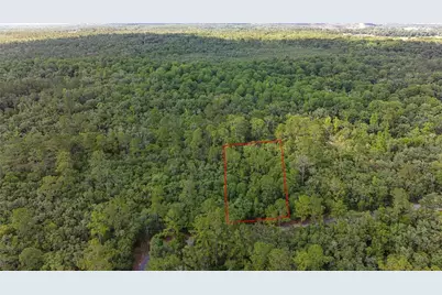 Tbd Off Riverview Road #9, Fanning Springs, FL 32693 - Photo 19
