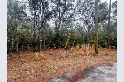 Tbd Off Riverview Road #9, Fanning Springs, FL 32693 - Photo 15