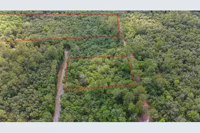 Tbd Off Riverview Road #9, Fanning Springs, FL 32693 - Photo 7