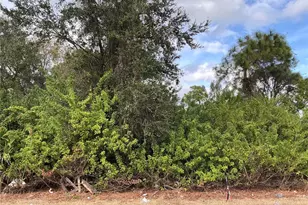 52 Gene Ave S, Lehigh Acres, FL 33976 - Photo 1