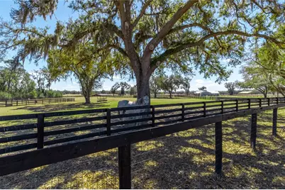 4700 NW 157th Court, Morriston, FL 32668 - Photo 85