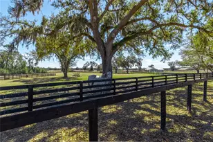 4700 NW 157th Ct, Morriston, FL 32668 - Photo 85