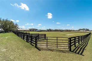 4700 NW 157th Ct, Morriston, FL 32668 - Photo 95