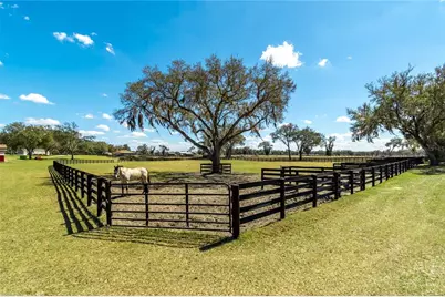 4700 NW 157th Court, Morriston, FL 32668 - Photo 91
