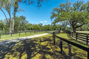4700 NW 157th Ct, Morriston, FL 32668 - Photo 83