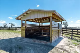 4700 NW 157th Ct, Morriston, FL 32668 - Photo 67