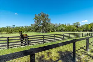 4700 NW 157th Ct, Morriston, FL 32668 - Photo 87