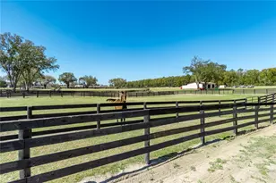 4700 NW 157th Ct, Morriston, FL 32668 - Photo 89