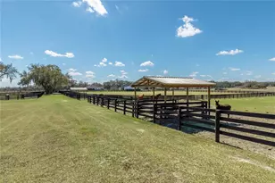 4700 NW 157th Ct, Morriston, FL 32668 - Photo 65