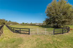 8785 NW 63rd St, Ocala, FL 34482 - Photo 79