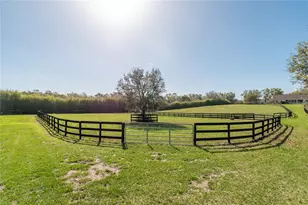 8785 NW 63rd St, Ocala, FL 34482 - Photo 81