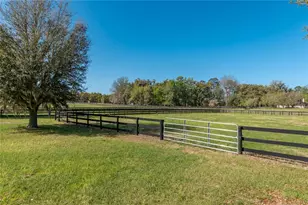 8785 NW 63rd St, Ocala, FL 34482 - Photo 77