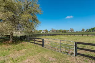 8785 NW 63rd St, Ocala, FL 34482 - Photo 79