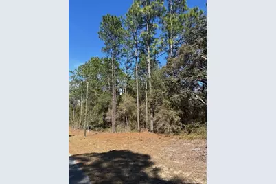 Tba SW 207 Court #4, Dunnellon, FL 34431 - Photo 1