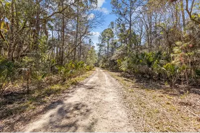 86.77 Acres SW Turtle Pass Road, Chiefland, FL 32626 - Photo 31