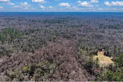 86.77 Acres SW Turtle Pass Road, Chiefland, FL 32626 - Photo 29