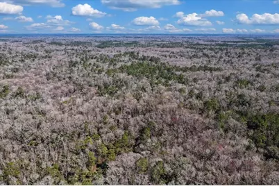 86.77 Acres SW Turtle Pass Road, Chiefland, FL 32626 - Photo 27