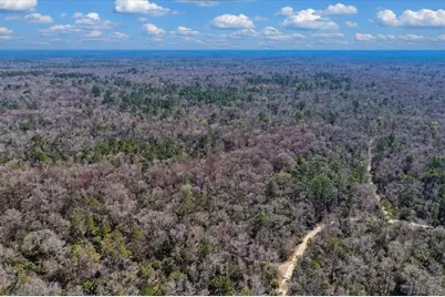 86.77 Acres SW Turtle Pass Road, Chiefland, FL 32626 - Photo 25