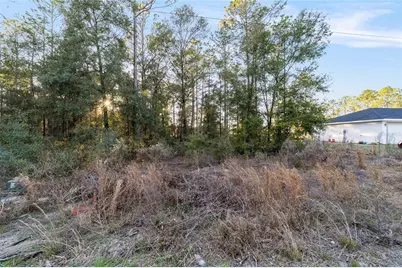 4160 SW 159th Avenue, Ocala, FL 34481 - Photo 13