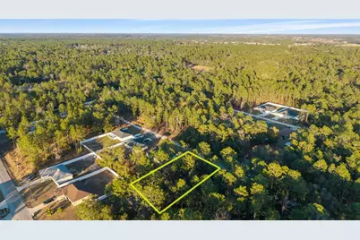 4160 SW 159th Avenue, Ocala, FL 34481 - Photo 3