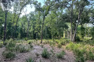 9000 SW 151st Pl, Dunnellon, FL 34432 - Photo 1