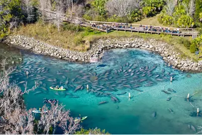 110 NE Crystal Street, Crystal River, FL 34428 - Photo 37