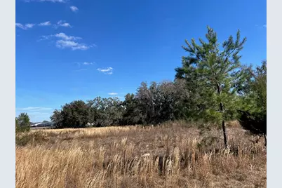 2351 NE Highway 41, Williston, FL 32696 - Photo 5