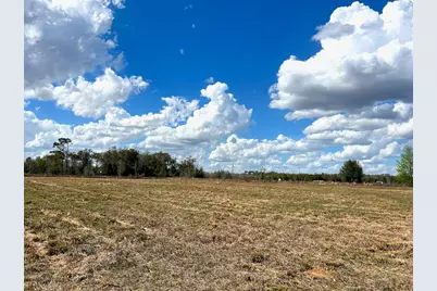 2351 NE Highway 41, Williston, FL 32696 - Photo 23