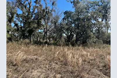 2351 NE Highway 41, Williston, FL 32696 - Photo 9