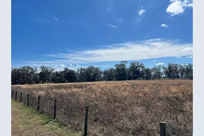 2351 NE Highway 41, Williston, FL 32696 - Photo 3