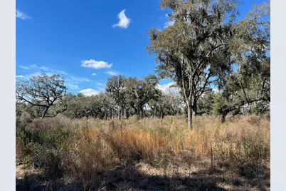 2351 NE Highway 41, Williston, FL 32696 - Photo 7