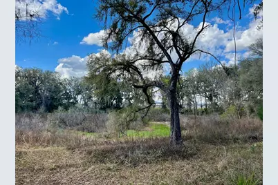 2351 NE Highway 41, Williston, FL 32696 - Photo 11