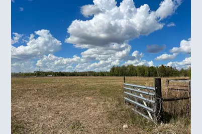 2351 NE Highway 41, Williston, FL 32696 - Photo 21