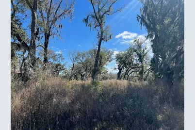 2351 NE Highway 41, Williston, FL 32696 - Photo 11