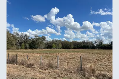 2351 NE Highway 41, Williston, FL 32696 - Photo 25