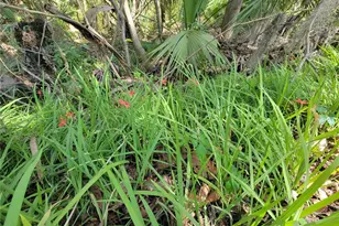 1600 SW 42nd St, Ocala, FL 34471 - Photo 35