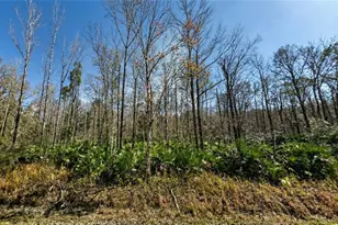 10660 Turpin Ave, Hastings, FL 32145 - Photo 1