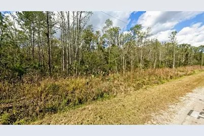 10655 Turpin, Hastings, FL 32145 - Photo 3